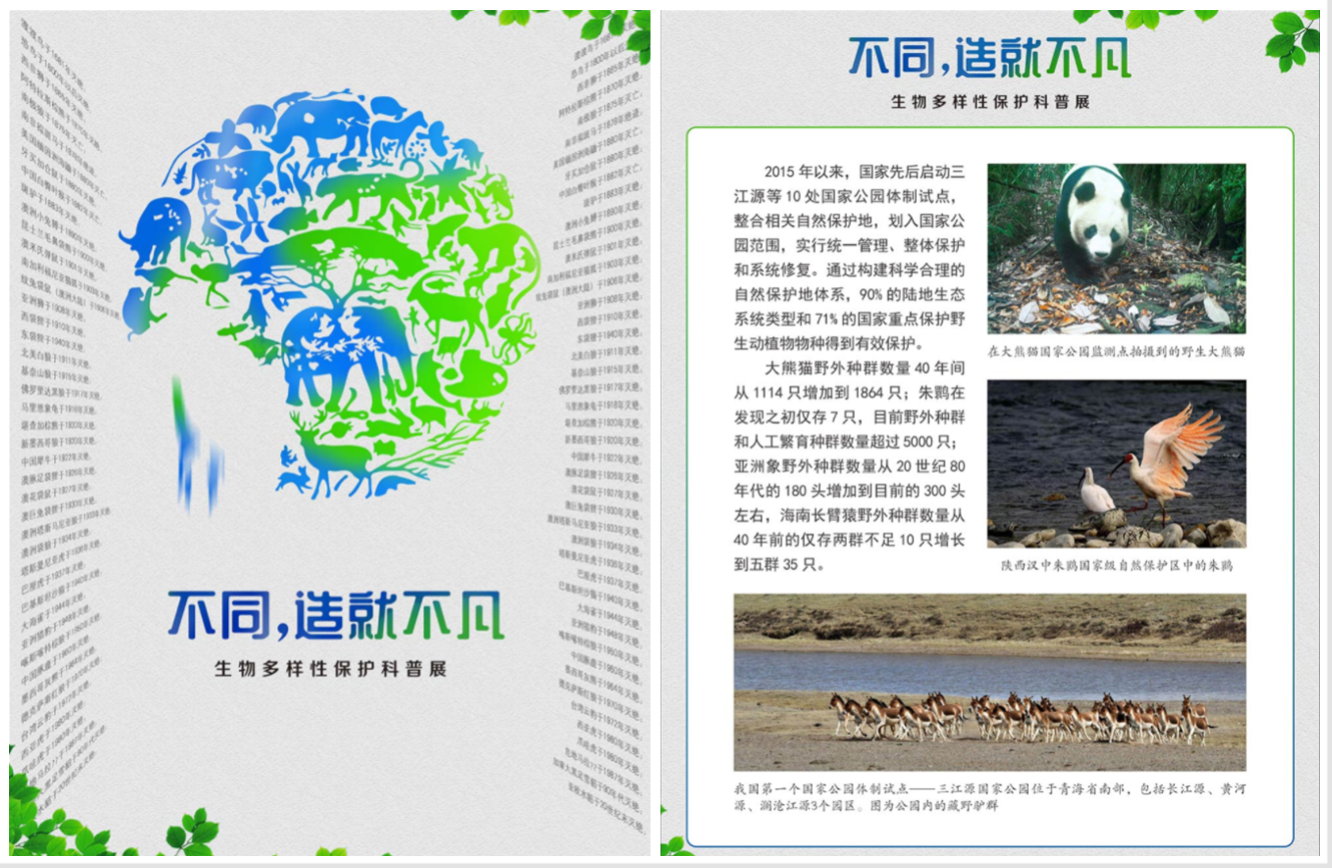 许昌市图书馆开展  “不同，造就不凡―生物多样性保护科普展”网络展览活动